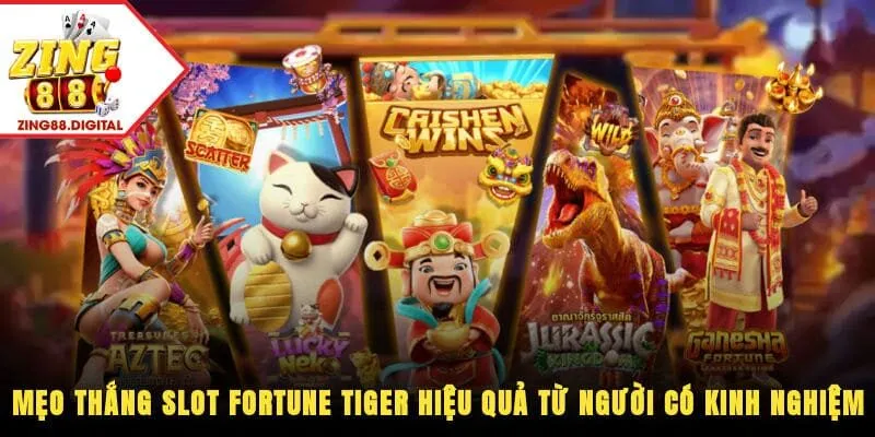 Mẹo thắng slot Fortune Tiger