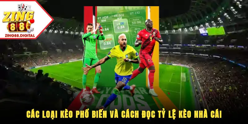 Cách đọc tỷ lệ kèo nhà cái